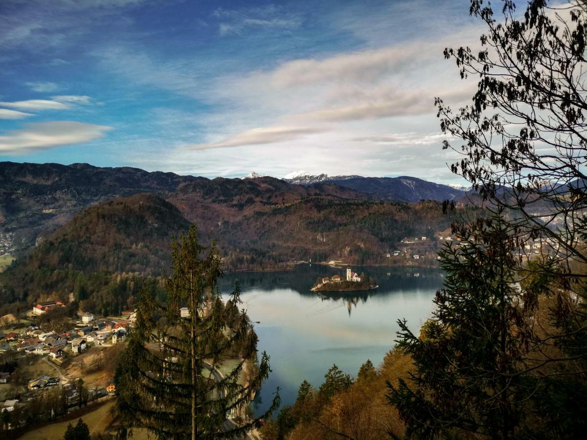 Apartment Alpine Lake Bled Exterior photo